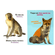 107655 Animais da Selva 3